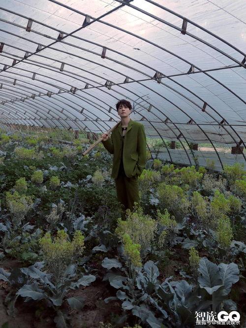 惬意吃瓜视频在线观看免费,免费观看吃瓜视频盛宴  第1张