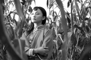 红高粱 在线观看,激情燃烧的岁月,民族抗争的史诗 第2张 红高粱 在线观看,激情燃烧的岁月,民族抗争的史诗 第2张