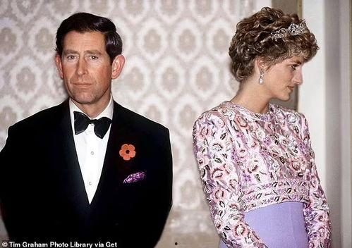 最新爆料学校食堂内部机密曝光,内部机密曝光，真实后厨操作大公开